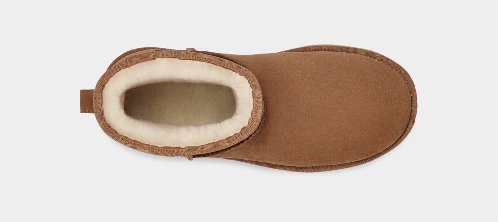 The Ugg Classic Mini II Platform Boot in Chestnut