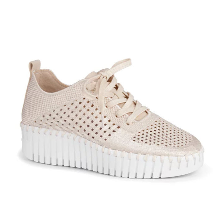 Tulip 4271 - The Knit Sneaker on Mid Platform Wedge in Kit