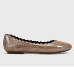 Load image into Gallery viewer, The Scallop Ballet in Bronze
