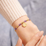 Load image into Gallery viewer, The February Birthstone Stretch Bracelet in Amethyst
