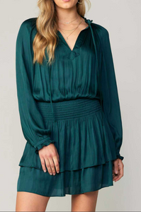 The Long Sleeve Mini Dress in Forest Green