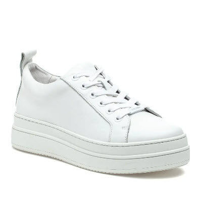 The Platform Lace Sneaker in White